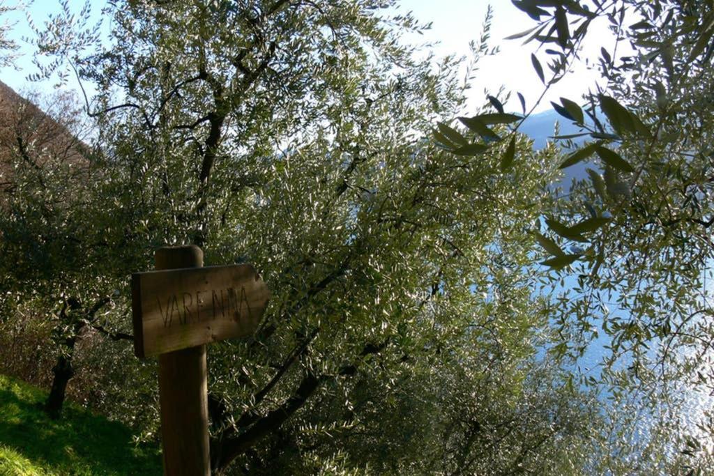 Luci Sul Lago - A Real Paradise Perledo Екстериор снимка